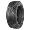Double Star WINTERKING DW09 275/40 R20 106V TL XL M+S 3PMSF